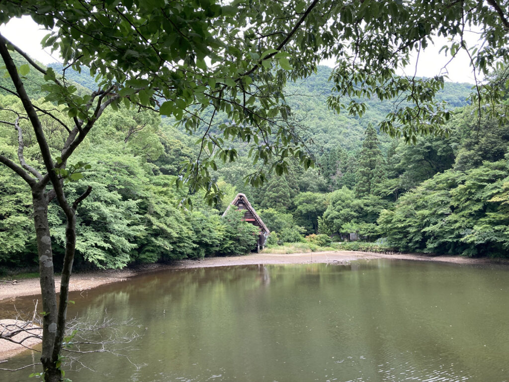 A spot beside a pond in Gifu where small birds gather