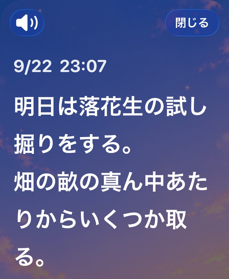 Large white letters on a dark background, in Japanese: “Tomorrow I will do a test dig of the peanuts. I will take a few from the middle of the ridge in the field.”